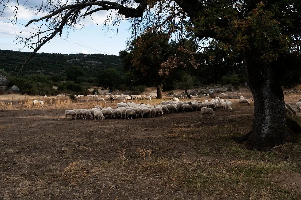 Agriturismo Testone Benetutti 0*,  Italie