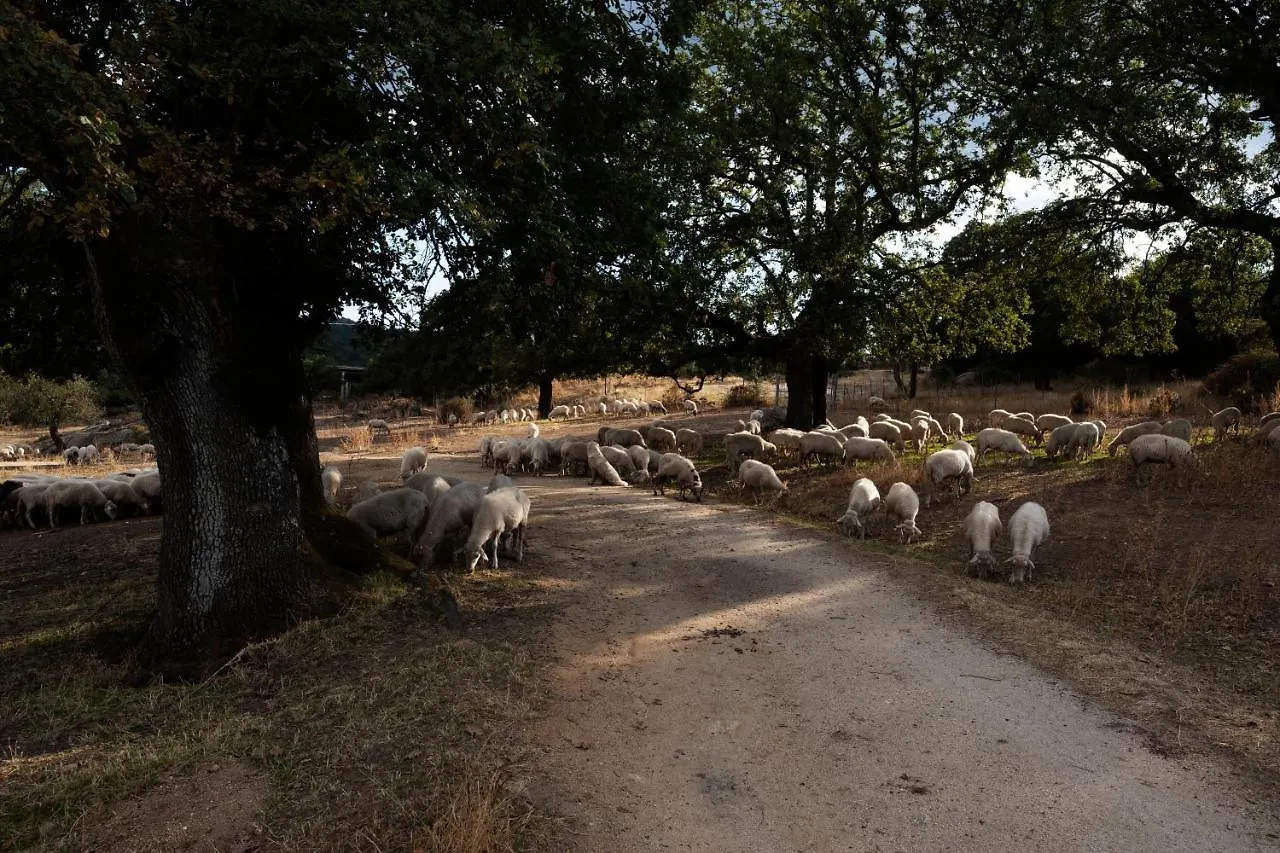 Agriturismo Testone Benetutti Séjour à la ferme