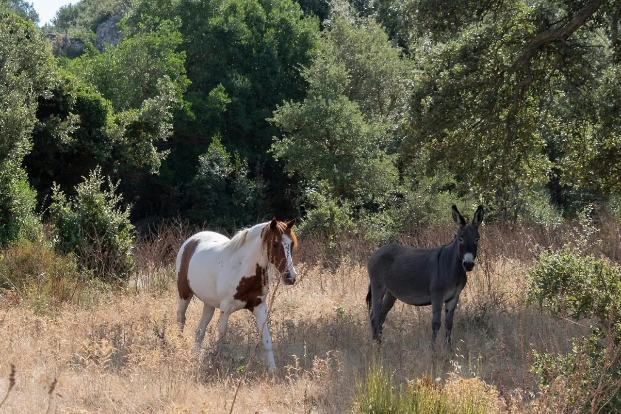 Séjour à la ferme Agriturismo Testone Benetutti Italie